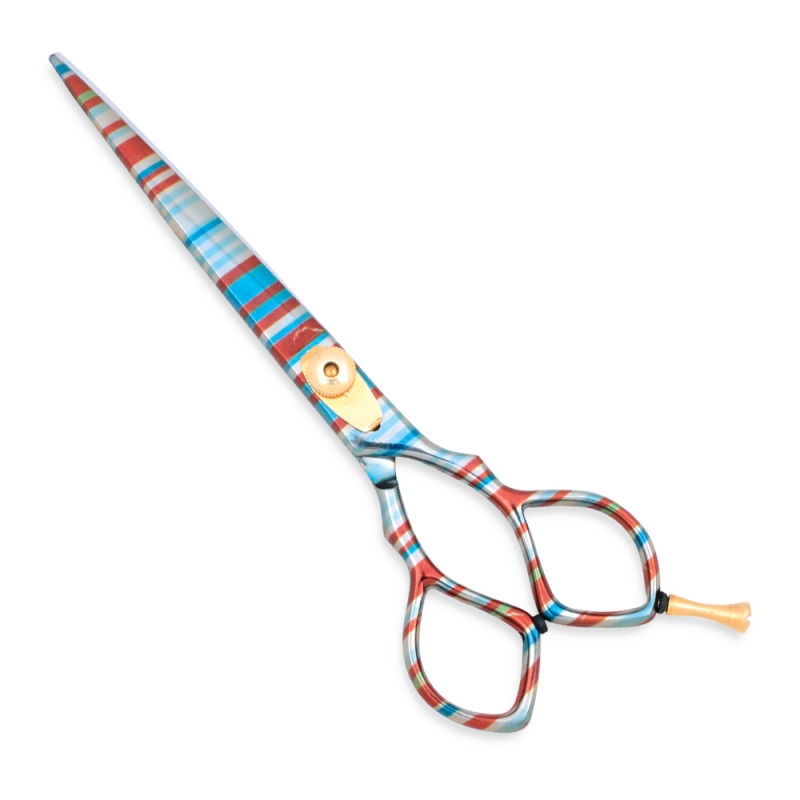 Professional Hair Cutting Scissors